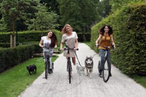 Probeer de nieuwe dogscooters.