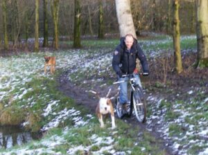 Blijf steppen met je hond
