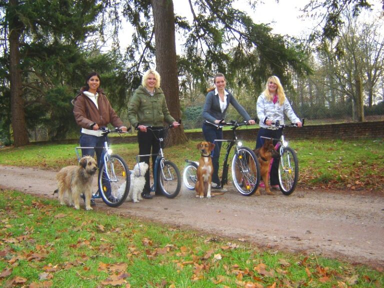 Ga steppen met uw hond en ontdek de vele voordelen van steppen met de dogscooters tijdens de stepworkshops