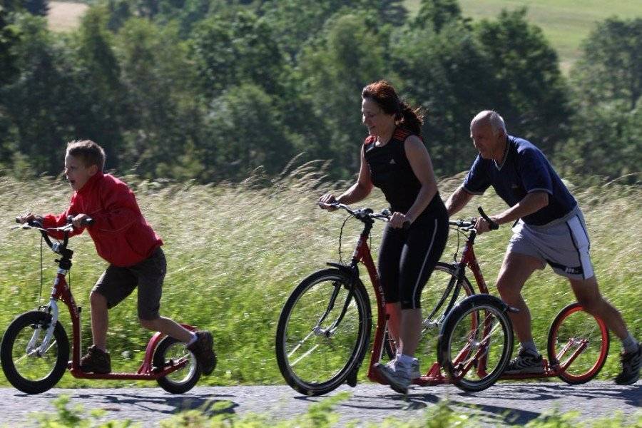 steppen in de top 5 sporten