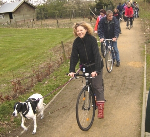 steppen met hond vierkant