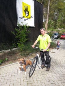 Steppen met je hond bij de dierenbescherming