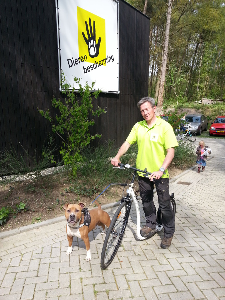 Steppen met je hond bij de dierenbescherming