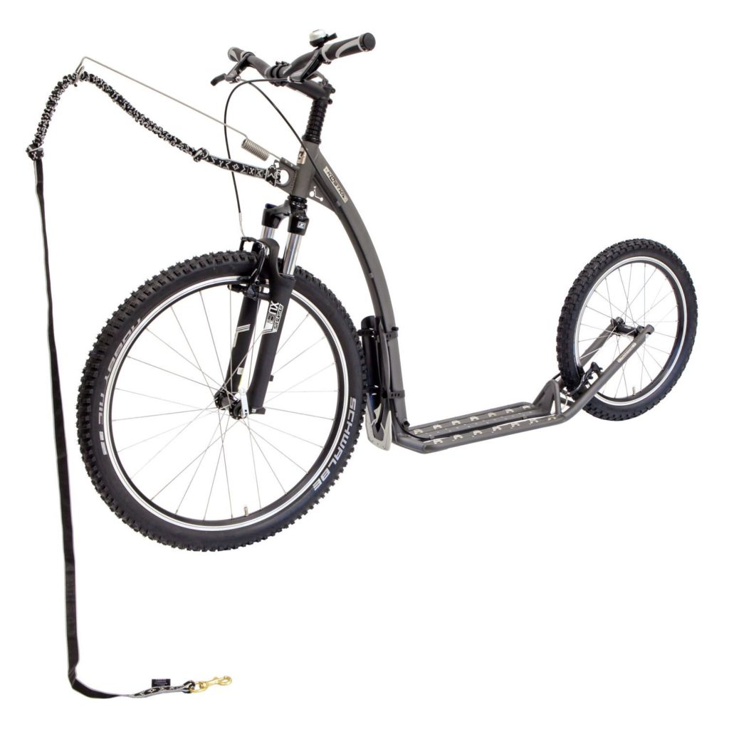 671 footbike kostka mushing fun g5 14