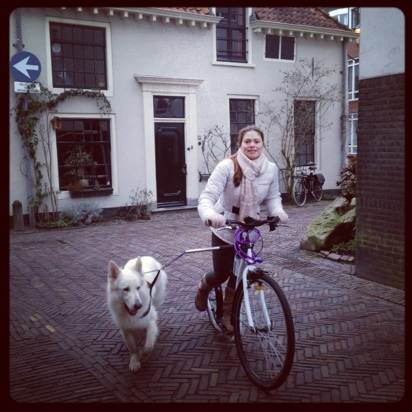 Steppen met jouw hond is gezond