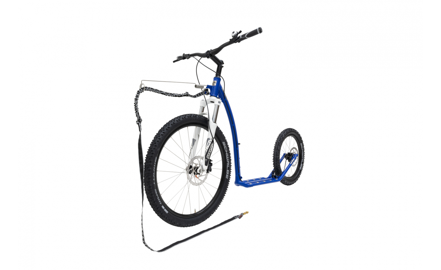 Kostka Mushing blue